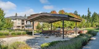 Vue Issaquah Gallery 61