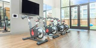 TruNorth at Bulverde Gallery 20