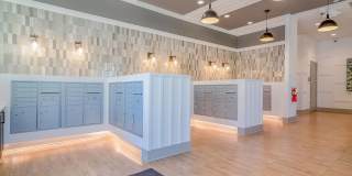 Carmel Vista Gallery 25
