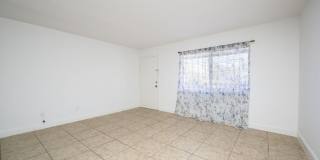 633 S Palmetto Avenue Gallery 4