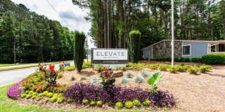 Elevate Woodstock Gallery 1
