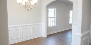 25 Sago Palm Way Gallery 6