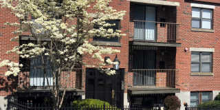 Great 1 Bed with Washer and Dryer in Unit! (Allston) WiFi Included Gallery 3