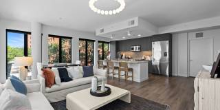 Aster & Links Gallery 78