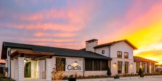 Cadia Sherman Gallery 26