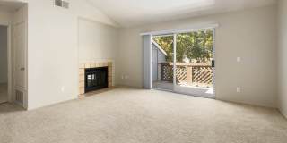 Lantern Cove Gallery 13