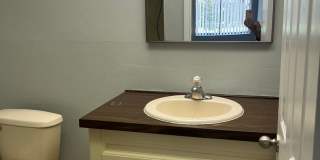 3300 FOX CHASE CIR N, #213, PALM HARBOR, FL 34683 Gallery 7