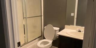 5402 Goldenseal Court Gallery 10