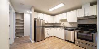 Village at Sota Gallery 9