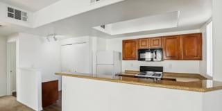 Venicia Gallery 68