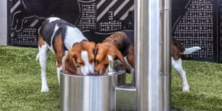 The Reserve At Tysons Corner Gallery 15