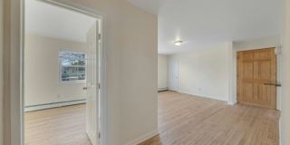 337 Madison Ave Gallery 15