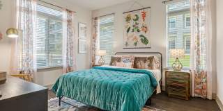 Brio at Lookout Brio at Lookout Gallery 12