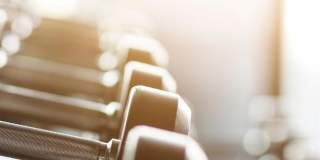 Four Seasons Gallery 25