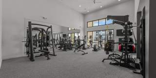 Arden 231 Gallery 37