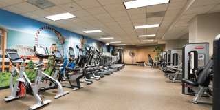 480 N MCCLURG Court Gallery 13