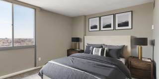 The Edina Towers Gallery 5
