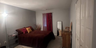 3142 QUARTET Lane unit: 255 Gallery 8