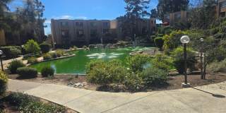 1 Bed 1 Bath Close to Lake Murray Gallery 11