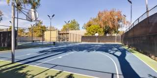 The Aspen South Coast Gallery 32