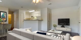 Pear Orchard Gallery 13