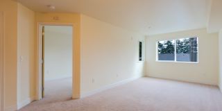 Forest Hills Forest Hills Gallery 11