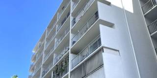 PET-FRIENDLY MOILIILI UNIT FOR RENT – AVAILABLE NOW PET-FRIENDLY MOILIILI UNIT FOR RENT – AVAILABLE NOW Gallery 1