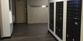 21 Orange Gallery 21