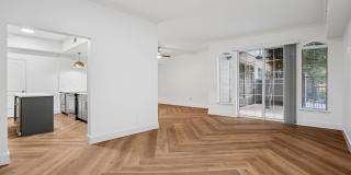 Remi Gallery 3