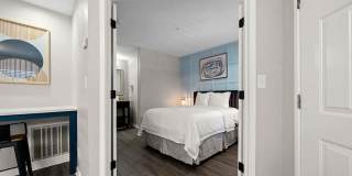 505 Collection Gallery 23