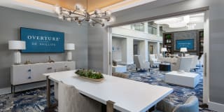 Overture Dr. Phillips Age 55+ Apartment Homes Gallery 36