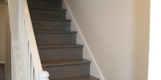 204 CAMERON Street Gallery 11