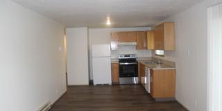 3 Bed 2 Bath Hillsboro Ranch Gallery 5