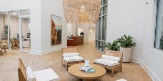 Trace Gallery 2
