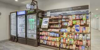 Incline at Anthem Age 55+ Apartment Homes Gallery 26