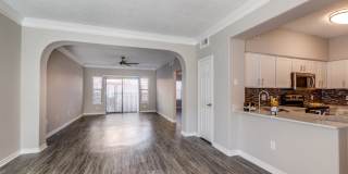 San Montego Gallery 15