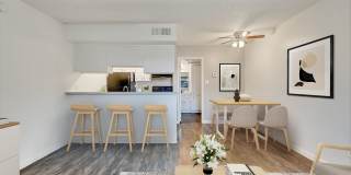 Tesoro Tesoro Gallery 1