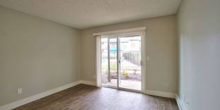 The Zimmer Gallery 15