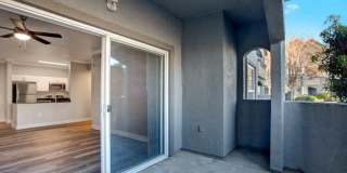 Broadleaf Apartments Gallery 101