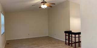 13 Cougar Gallery 1