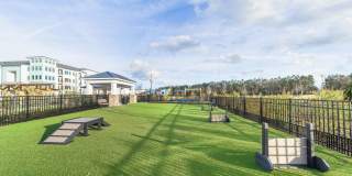 Hawthorne at the Mill Gallery 29