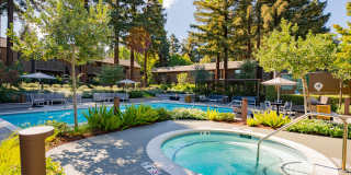 Old Orchard Apartments Gallery 23