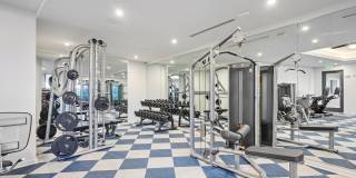 Society at Laurens Gallery 20