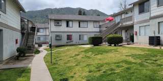 Grand Oaks Gallery 6