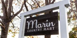 Larkspur Courts Gallery 30