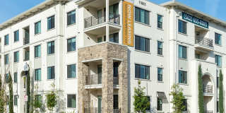 Altura at the Groves Gallery 8