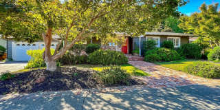 Beautifully Updated Three Bedroom Browns Valley Home Gallery 3