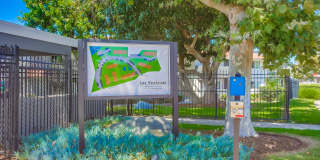 Las Ventanas Gallery 23