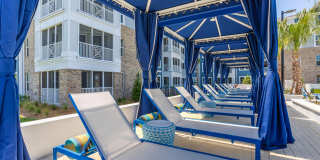 Lakeside Walk Gallery 7