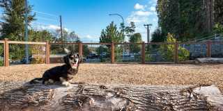 Cru at Willows Gallery 36